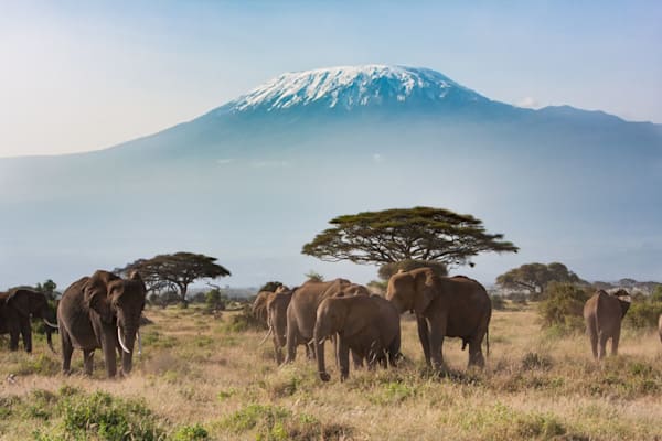 Amboseli-Nationalpark