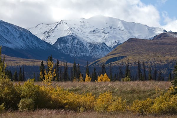 Kluane National Park