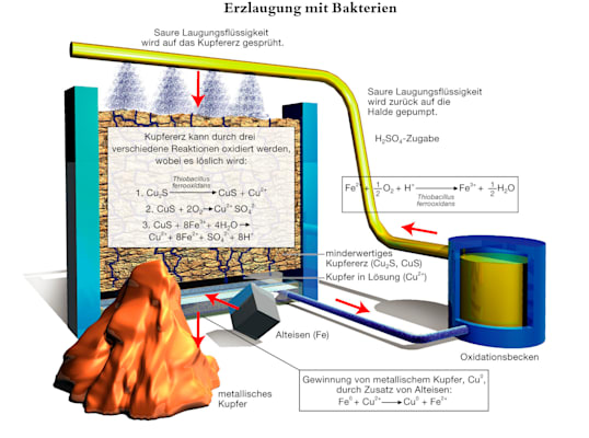 Erzlaugung mit Bakterien (Grafik)