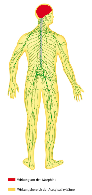 Analgetikum (Grafik)