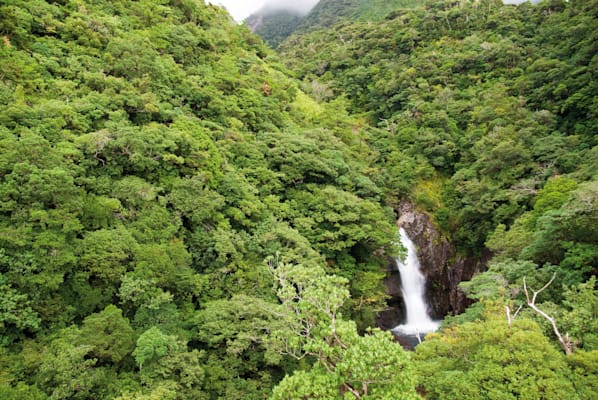 Yakushima