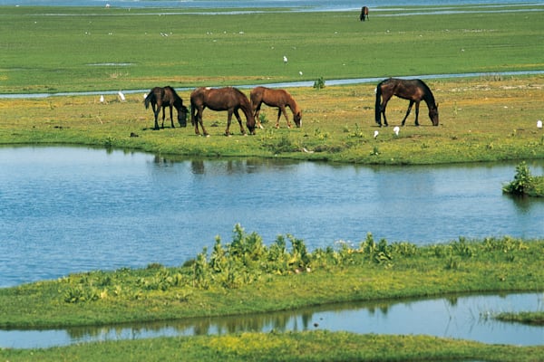 Spanien: Doñana