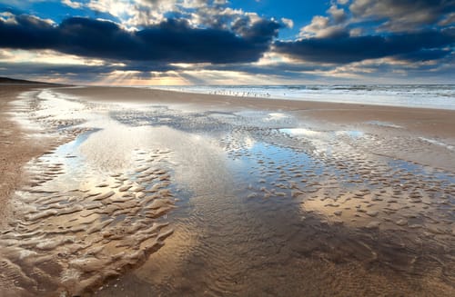 Nordsee Ebbe