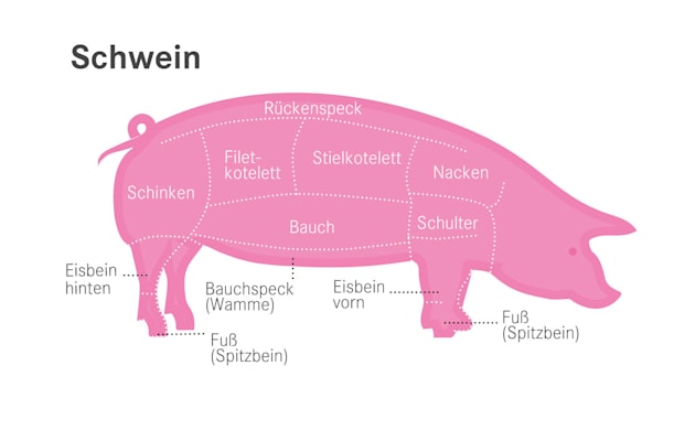 Schwein