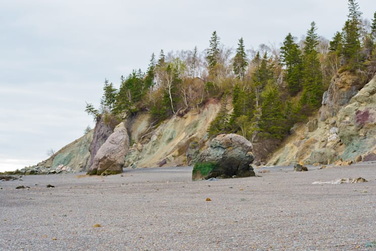 Nova Scotia: Klippen von Joggins