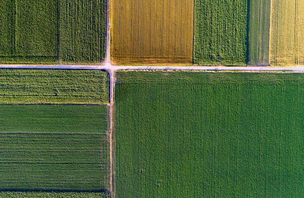 Landwirtschaftliche Parzellen verschiedener Kulturen