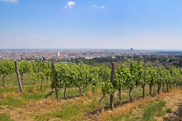 Weinviertel: Wien