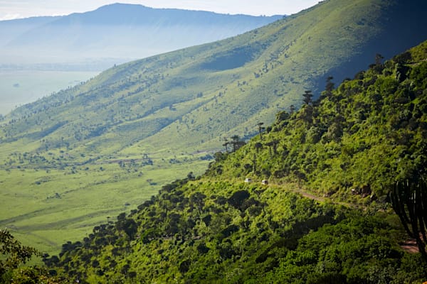 Ngorongoro: Serpentinen