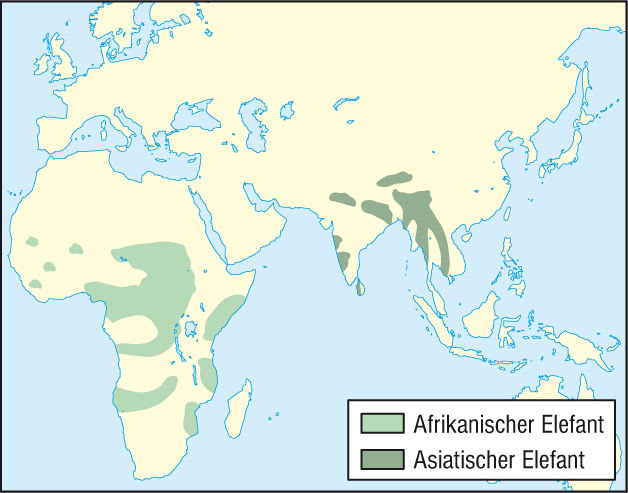 Elefanten: Verbreitung