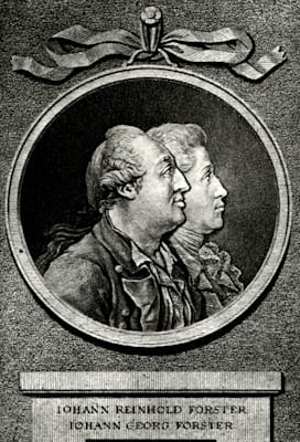 Johann Reinold Forster und Georg Forster