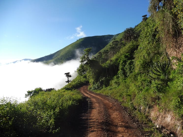 Ngorongoro: Serpentinen
