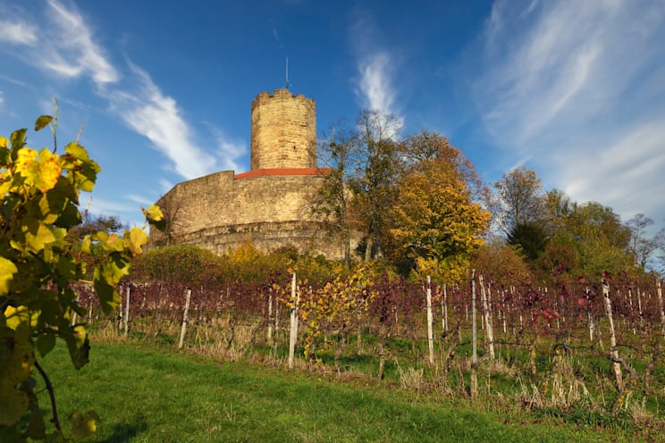 Sinsheim: Steinsberg