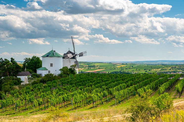 Weinviertel: Wien