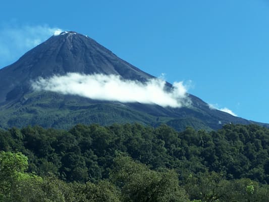 Colima