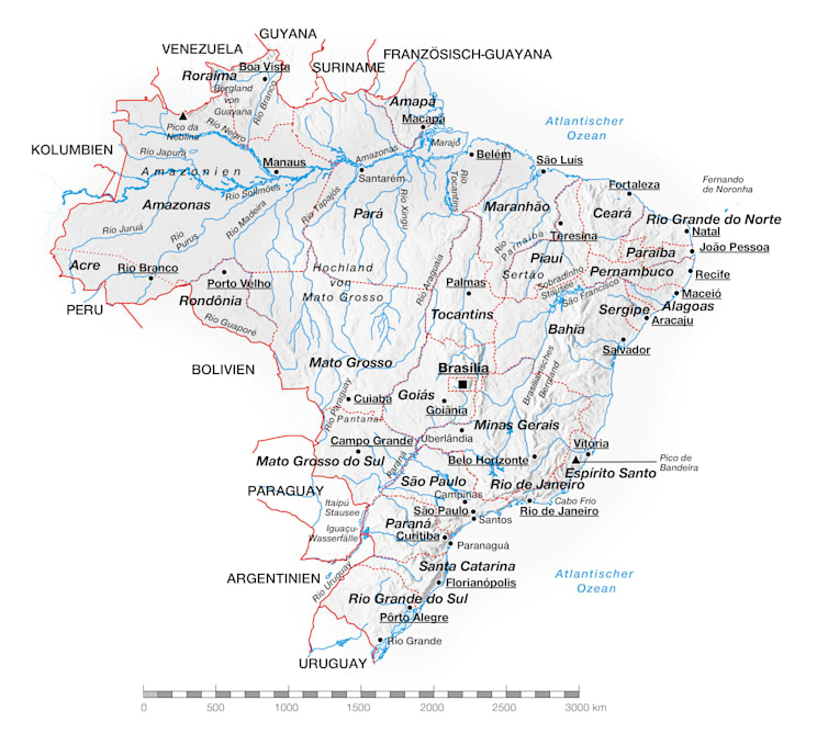 Brasilien: Topografische Karte