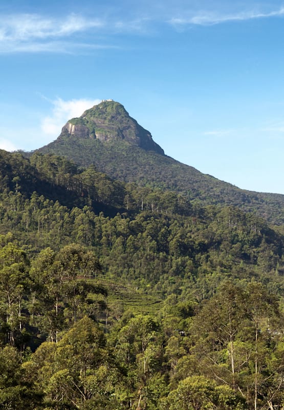 Adam's Peak