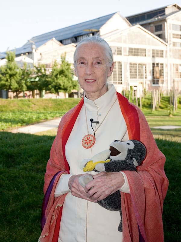Jane Goodall