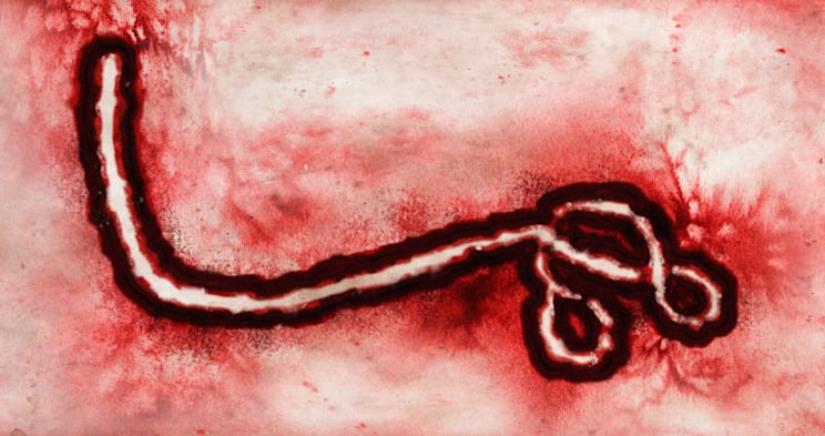 Ebola: Virus