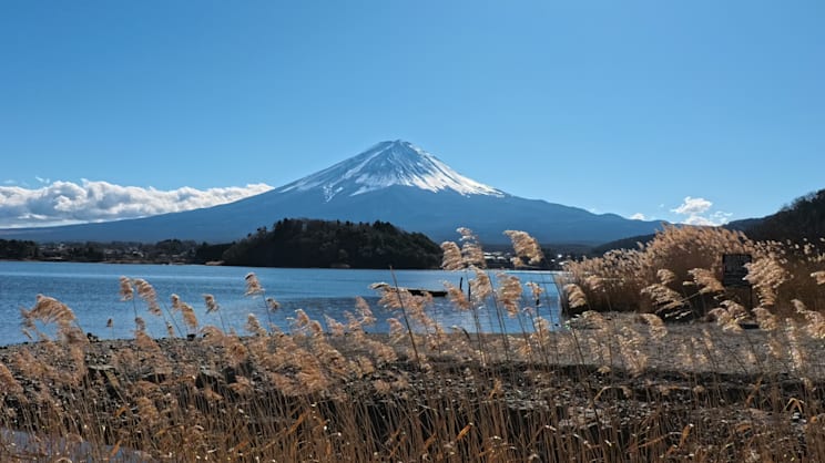 Fuji