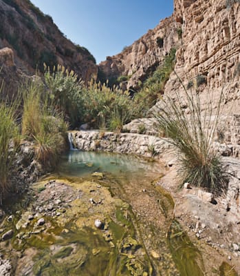 Israel: En Gedi