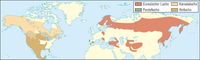Luchse: Verbreitung