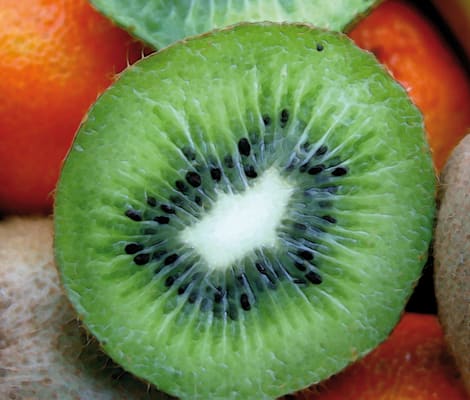 Kiwi