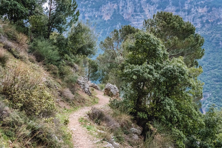 Heiliges Tal und Wald der Libanonzedern