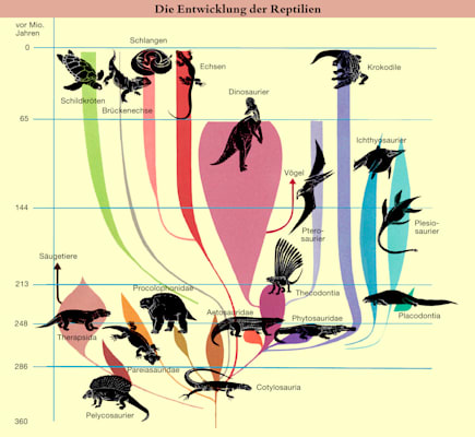 Reptilien: Stammbaum