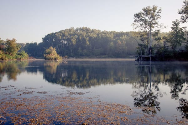 Lobau