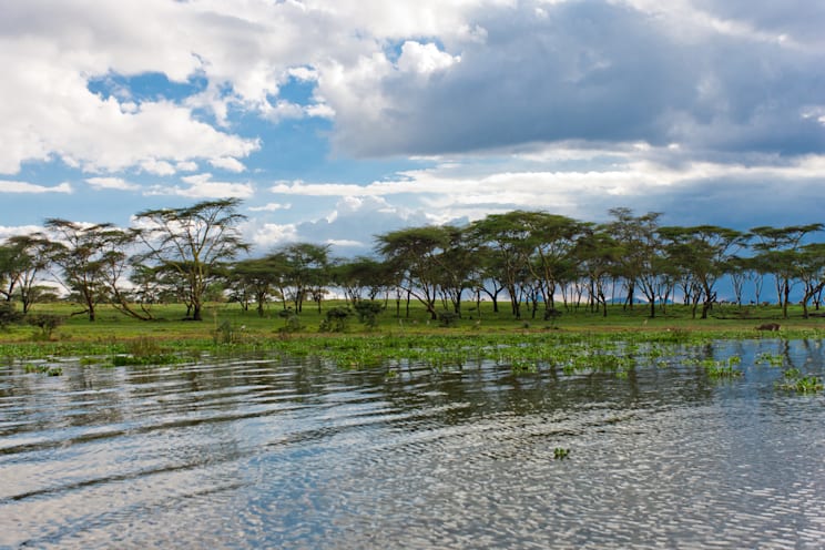 Naivasha-See in Nordwestkenia