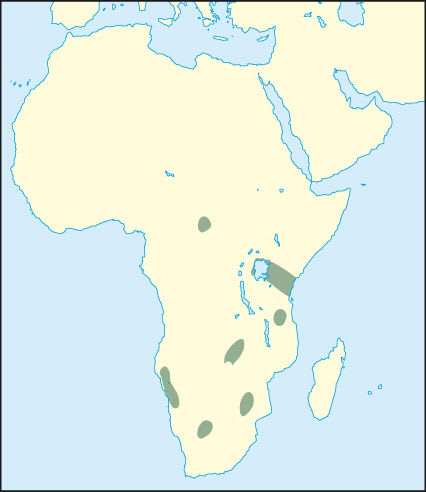 Spitzmaulnashorn: Verbreitung
