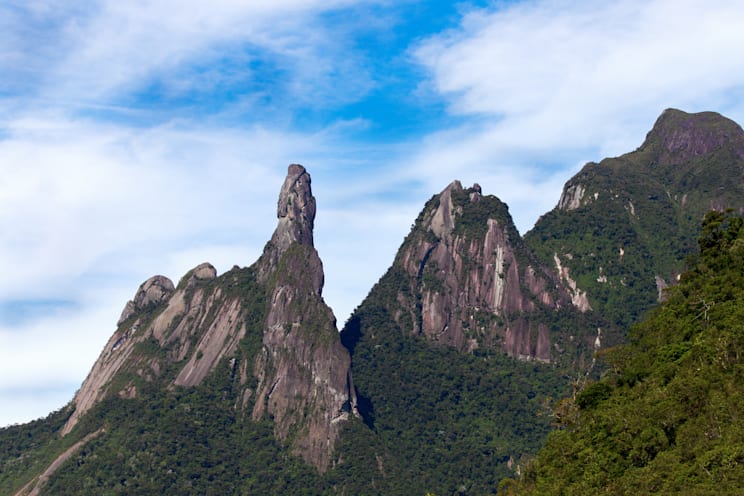 Orgaos: Dedo de Deus