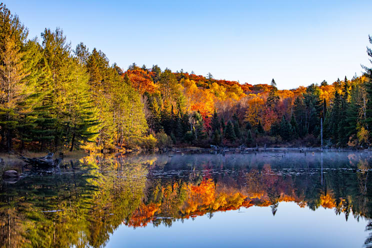 Algonquin Provincial Park: Indian Summer