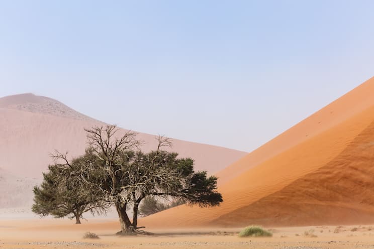 Namib