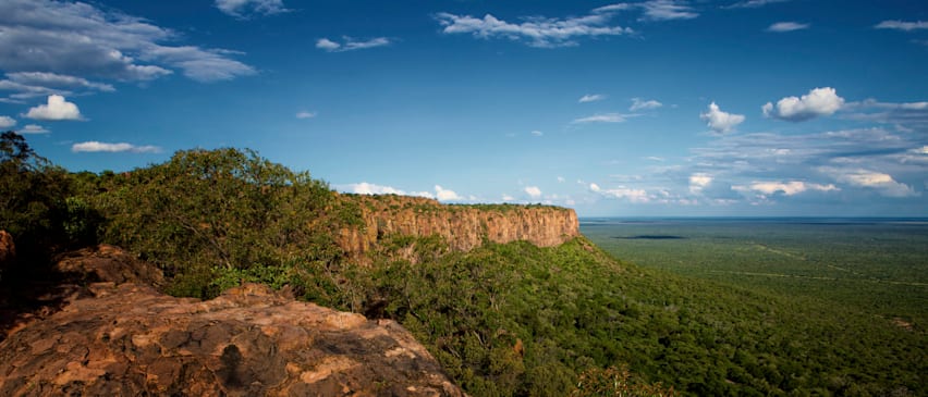 Waterberg: Plateau