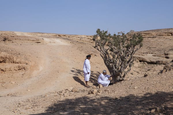 Oman: Dhofar