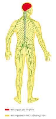 Analgetikum (Grafik)