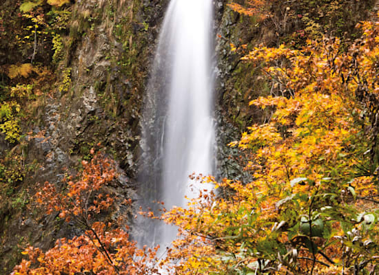 Wasserfall im Buchenwald Shirakami Sanchi