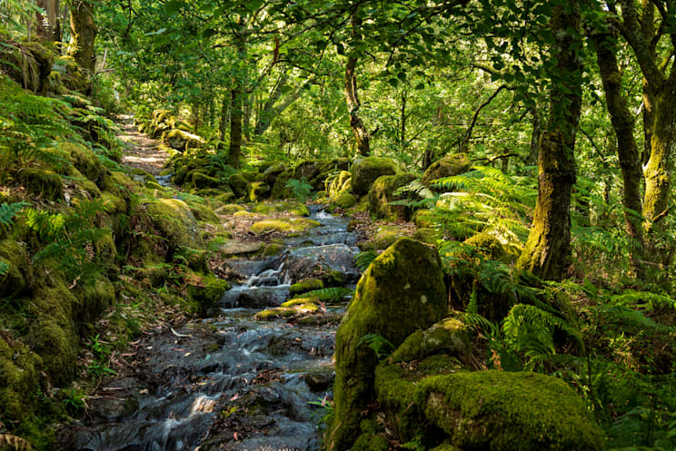 Portugal: Peneda-Gerês