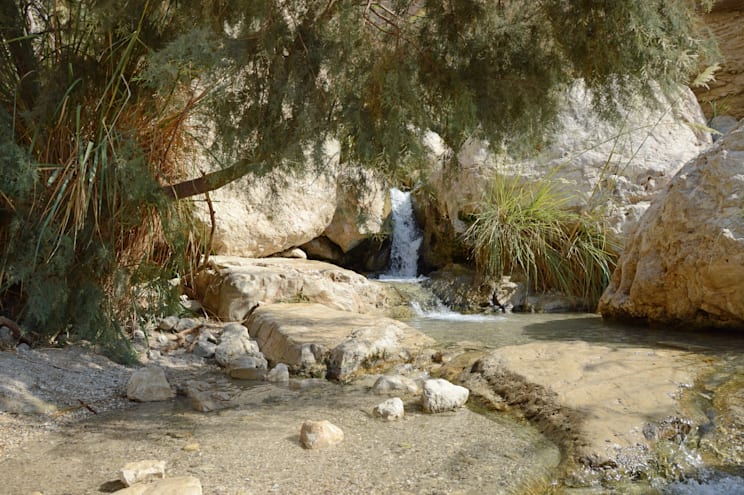 Israel: En Gedi
