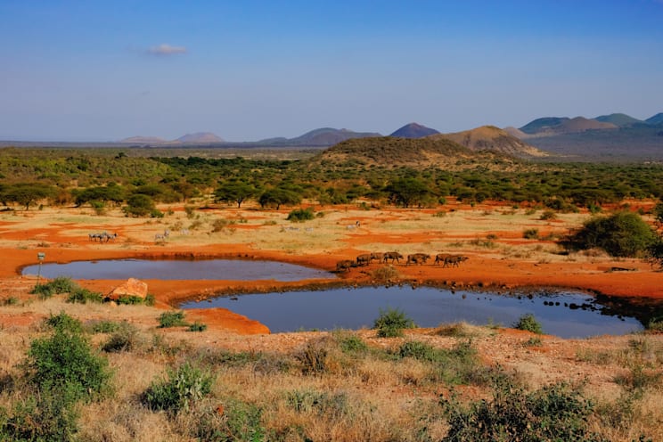 Tsavo-Nationalpark: Wasserstelle
