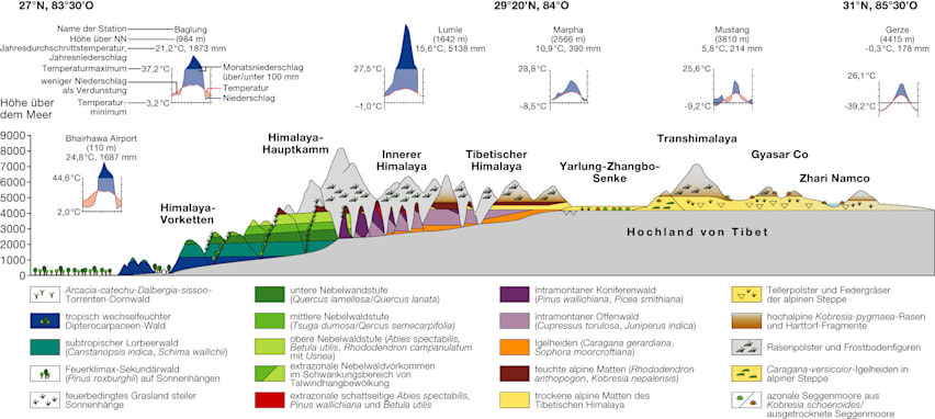 Vegetationshöhenzonen im Himalaja