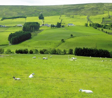 Sperrin Mountains