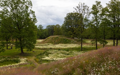 Borre Wikingergräber