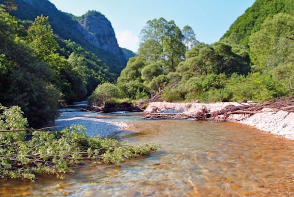 Peru: Manú-Nationalpark