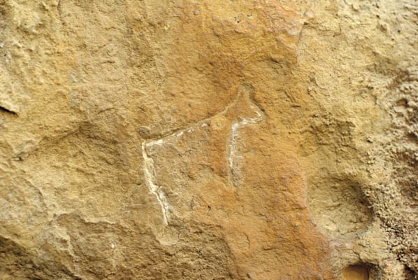 Tierdarstellung in den Felszeichnungen von Gobustan