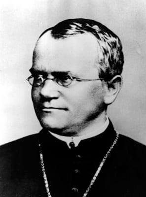 Gregor Mendel