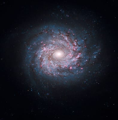 Galaxien: Galaxie NGC 3982