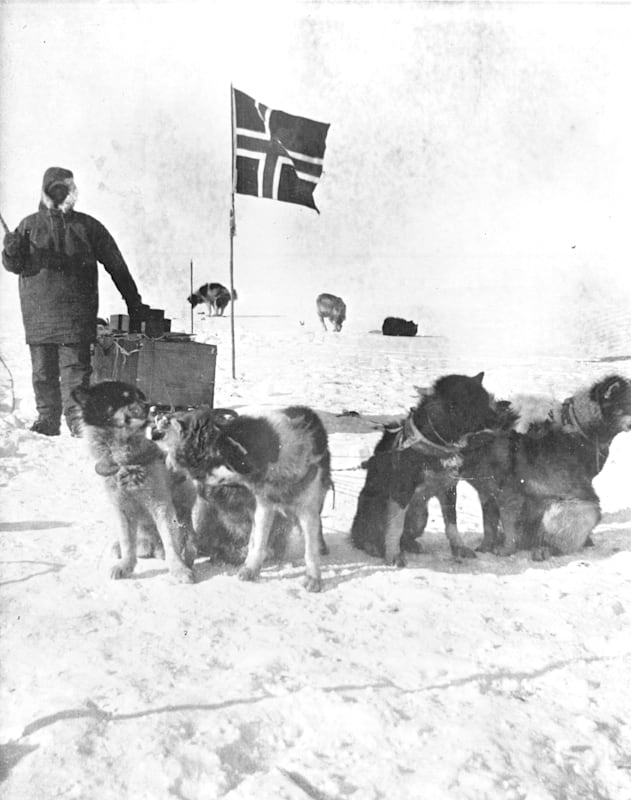 Roald Amundsen: Südpol