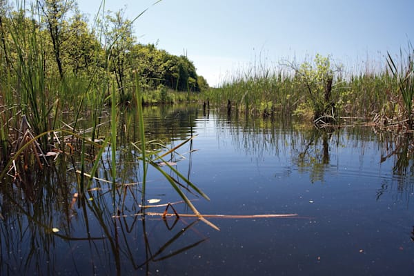 Mecklenburgische Seenplatte